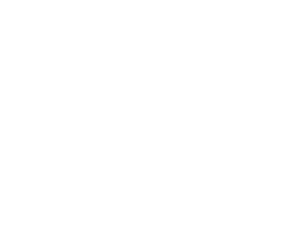P81-Logo-URL_White.png